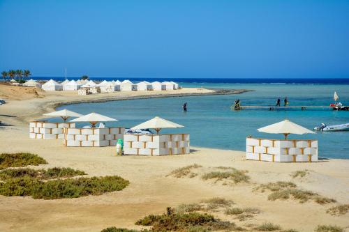 playa, Marsa Shagra Village in Qesm Marsa Alam