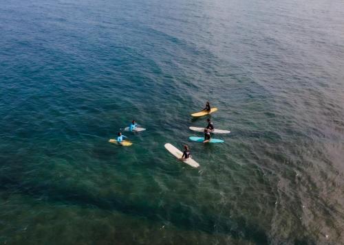 Kala Surfcamp