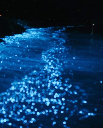 Rashuthere Maldives Rashuthere Maldives