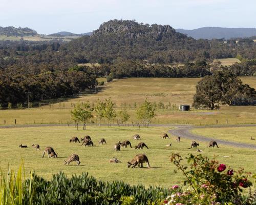 Hanging Rock Views Daylesford and Macedon Ranges