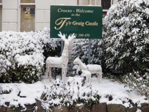 Tyr Graig Castle - image 7