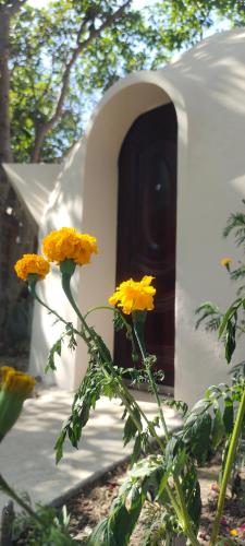 Garden, Done Right in Chrous Pichnil