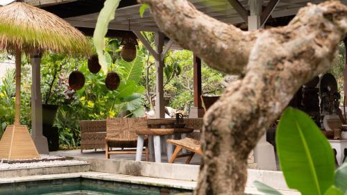Ubud Chakra Healing
