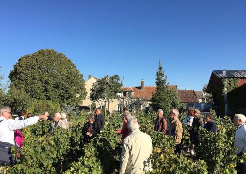 La Maison de Chablis