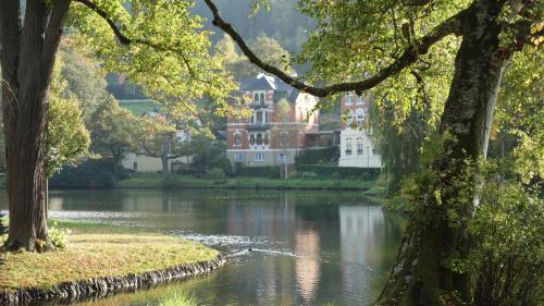 Apartment Am Gondelteich in Bad Elster, Deutschland