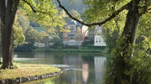Apartment Am Gondelteich in Bad Elster, Deutschland