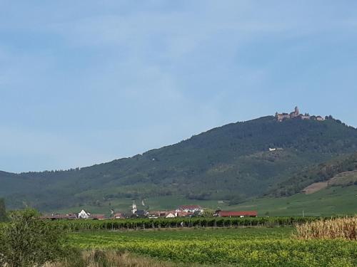 Gîte du forgeron - 6 à 8 personnes - Centre Alsace - Saint-Hippolyte