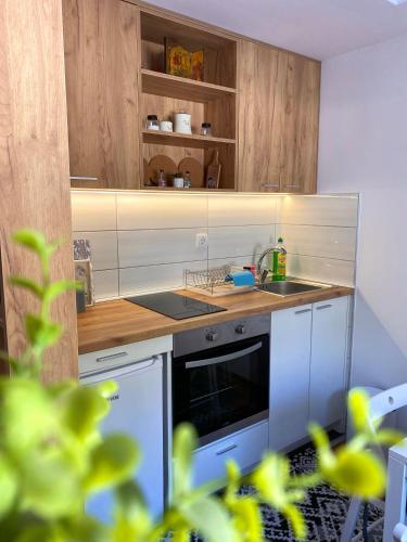 مطبخ, Apartman Nada Zlatibor in Kamalj