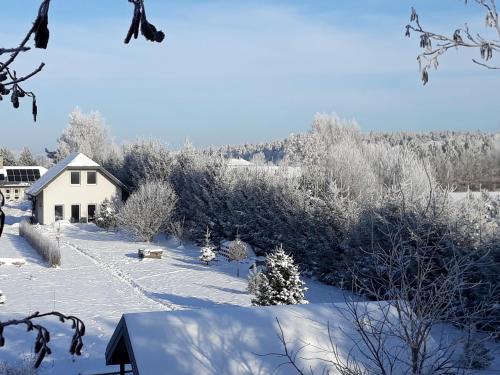 Pucówka na skraju Puszczy Białowieskiej - Accommodation - Hajnówka