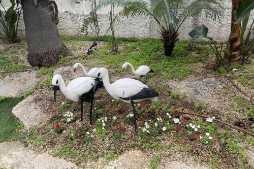 וילה מונטאנו עם בריכה מחוממת וג'קוזי במרכז העיר - Villa Montano with a heated pool and jacuzzi in the city center