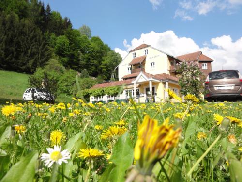 Familiengasthof Maier - Hotel - Mautern