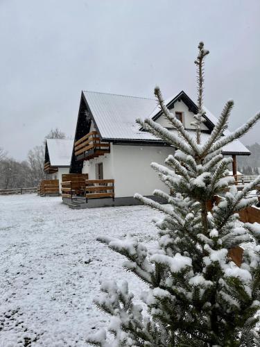 Zagroda wypoczynkowa- Domki nad rzeką