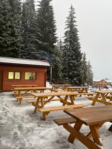 Готель Вілла Драгобрат, Dragobrat (foto 7)