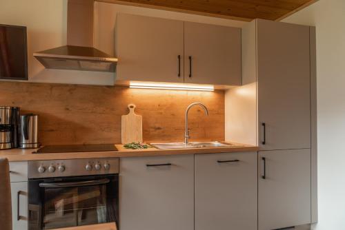 virtuve, Pircherhof Appartements in Haus im Ennštāla