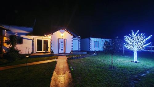 Apartmani Mikic - image 9