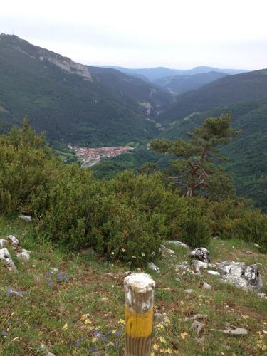 Pension Txiki - image 11