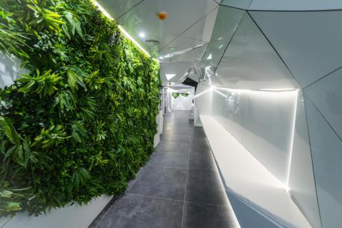 Optimi Rooms Madrid – Madrid, NC