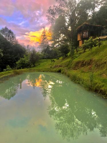 Lofts in The Forest in Avándaro, Mexico