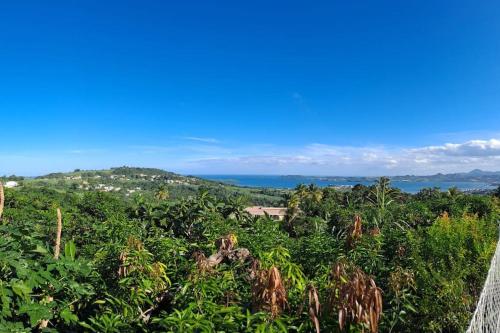 Zowanj 1 - Logement avec vue panoramique - Location, gîte - Le Robert