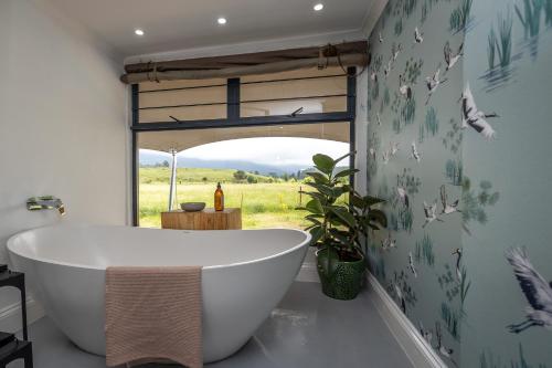 Belvidere Country Estate in Howick