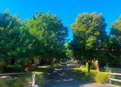 Mount Waverley Townhouses