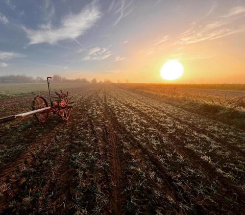 Ferienwohnung Espenau in 埃斯彭瑙