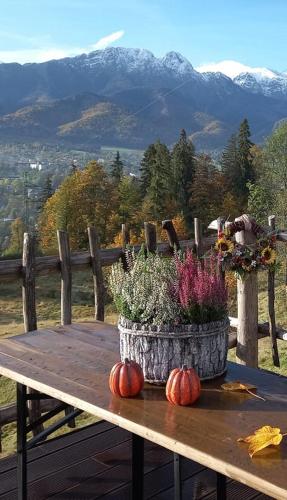 Niebiańska Grań, Zakopane (fotografie 7)