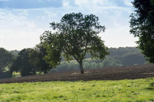 The Stables, relax in 5 star style and comfort with lovely walks all around