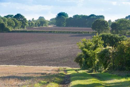 The Stables, relax in 5 star style and comfort with lovely walks all around