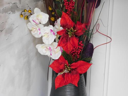 APARTAMENTO ROMULO Y REMO-ROMULO