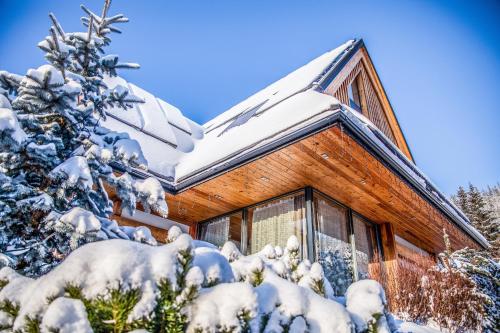 Luxury Chalet Wioska Jagny