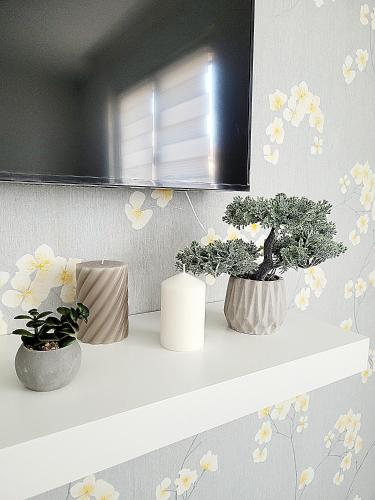 Oaza apartmani 1 in Senta