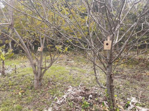 ทัศนียภาพภายนอกโรงแรม, Adega Peróla (Adega Perola) in ริเบริงยา