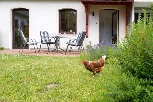 Familienhaus Sonne