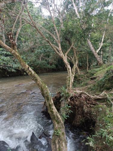 Parcela en Honduras