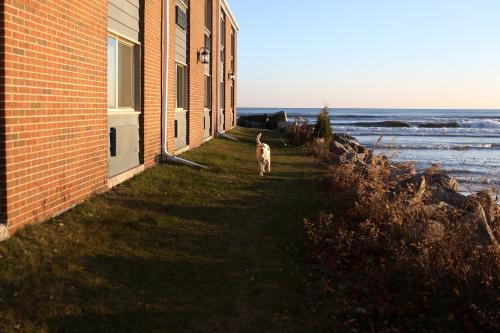 Lighthouse Inn - Two Rivers - 전망
