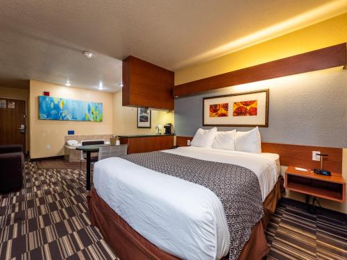 Microtel Inn and Suites Ocala - image 8