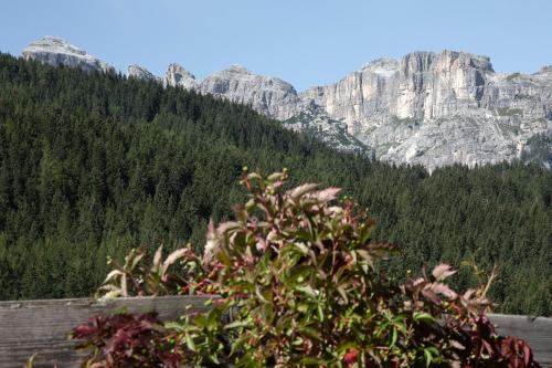 Apartment with Mountain View