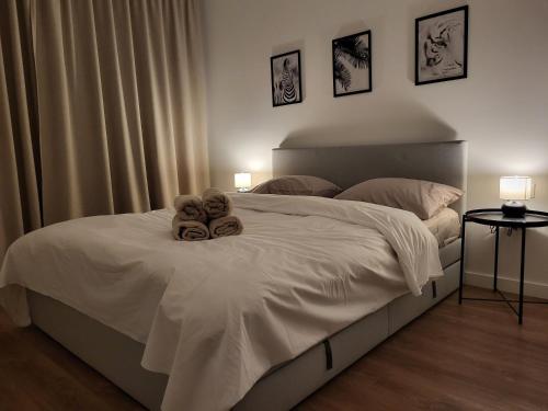 Greta's spacious brand new apartments with bath and terrace