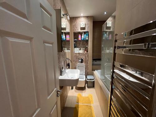 LUXURY SPECIOUS ROOM IN CENTRAL LONDON, Londyn (zdjęcie 8)