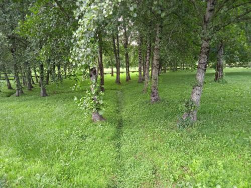 Apartamento turístico rural Casa Chaín