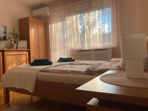 Fürdő Apartman