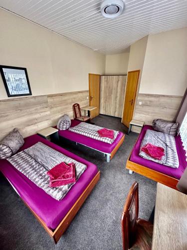 Hotel Pension Pamina - image 3