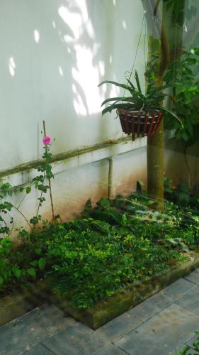 Cửa Biển Homestay