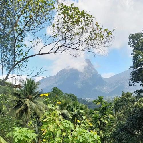 Palabaddala Tea and Eco Lodge