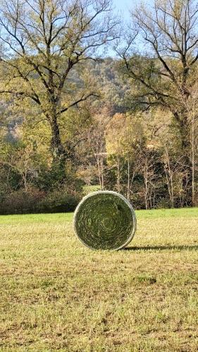 Corte Martinola bed&breakfast in Franciacorta