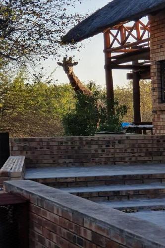 Eagle's View - Self Catering Holiday House