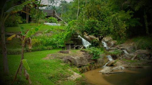 Forest falls Garden Maerim Chiangmai ตาดปลาแคมป์ออร์แกนิคฟาร์มสเตย์เชียงใหม่ Forest falls Garden Maerim Chiangmai ตาดปลาแคมป์ออร์แกนิคฟาร์มสเตย์เชียงใหม่