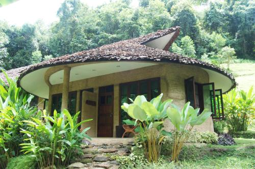 Forest falls Garden Maerim Chiangmai ตาดปลาแคมป์ออร์แกนิคฟาร์มสเตย์เชียงใหม่ Forest falls Garden Maerim Chiangmai ตาดปลาแคมป์ออร์แกนิคฟาร์มสเตย์เชียงใหม่