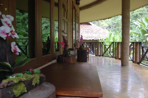 Forest Falls Garden Maerim Chiangmai
